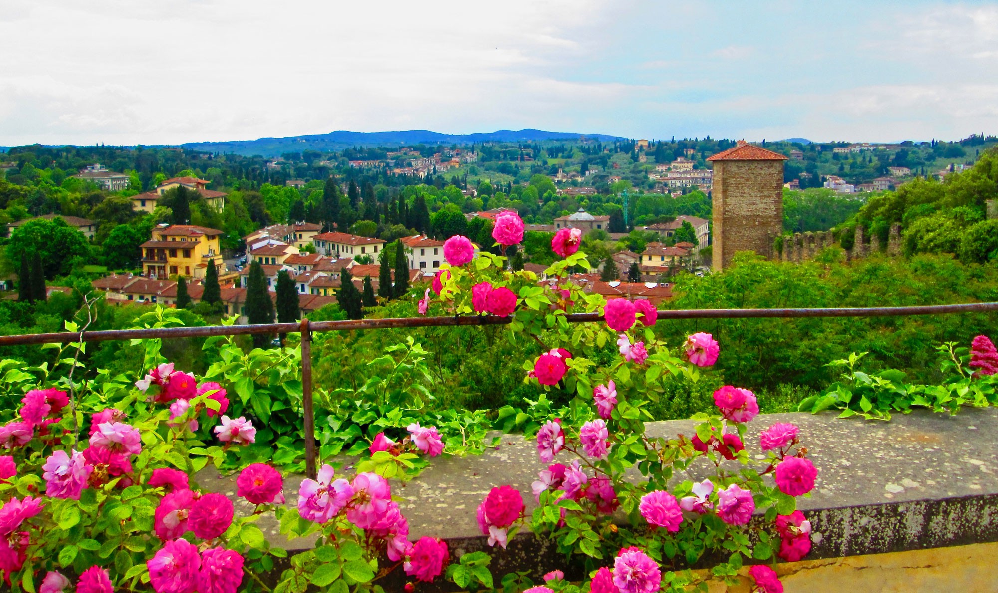 Donna Carnahan, Flower of Florence Donna Carnahan, Flower of Florence