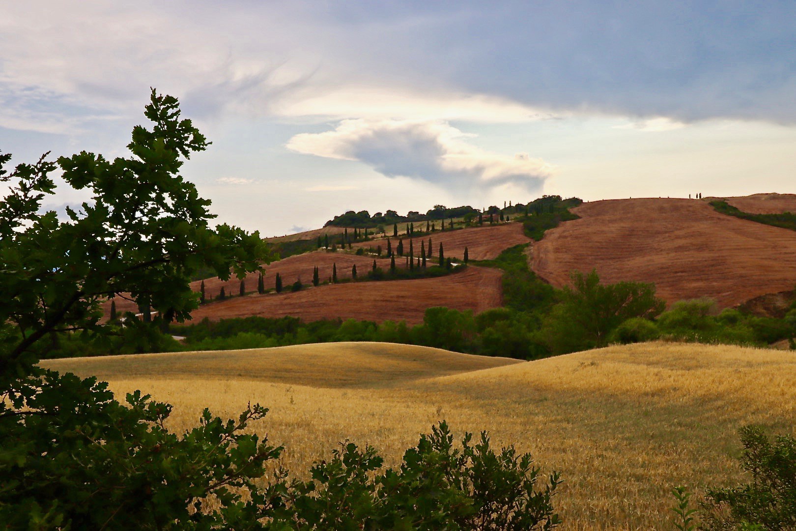 Donna Carnahan, Val d'Orcia Donna Carnahan, Val d'Orcia