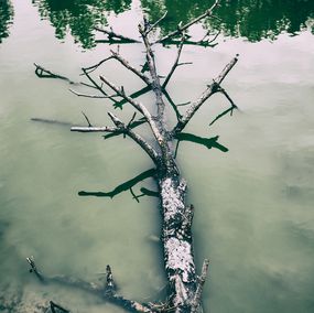 Fotografien, Fallen, Paul J Bucknall