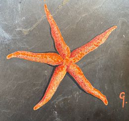 Painting, Ré Star 1, Caroline Godefroy
