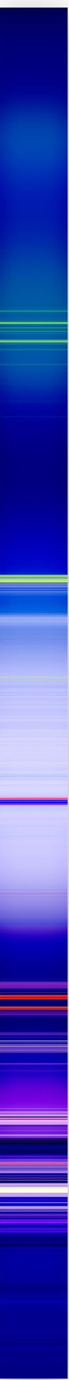 Paul Snell, Lumina # 202211 Paul Snell, Lumina # 202211