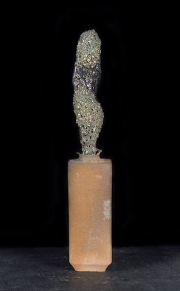 Little Flower in the shape of a Passage, Nicolas-Pierre Réveillard