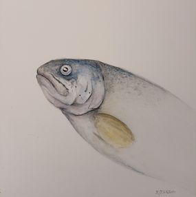 Painting, Fish I, Rosemary Achata