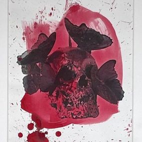 Vanité, Philippe Pasqua