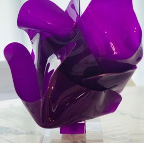 Carola Orieta-Sperman, Éclairage Violet Carola Orieta-Sperman, Éclairage Violet