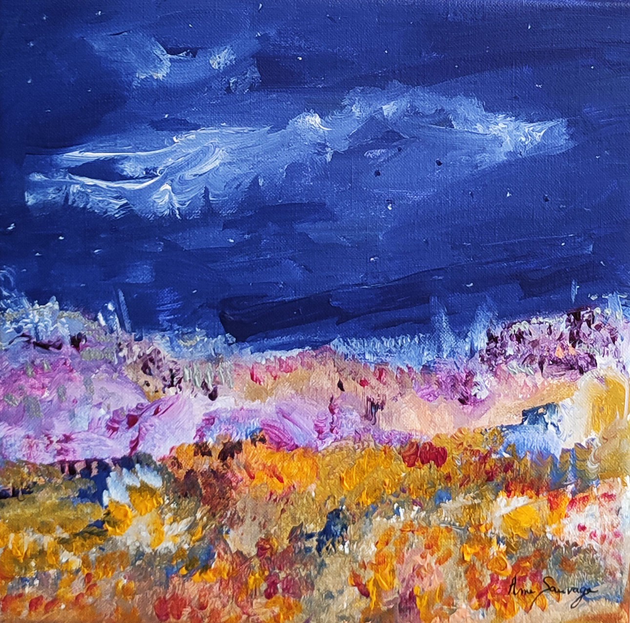 Âme Sauvage, Une nuit éclairée Âme Sauvage, Une nuit éclairée