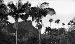Fotografien, Rio no color #31, Joaquim Nabuco