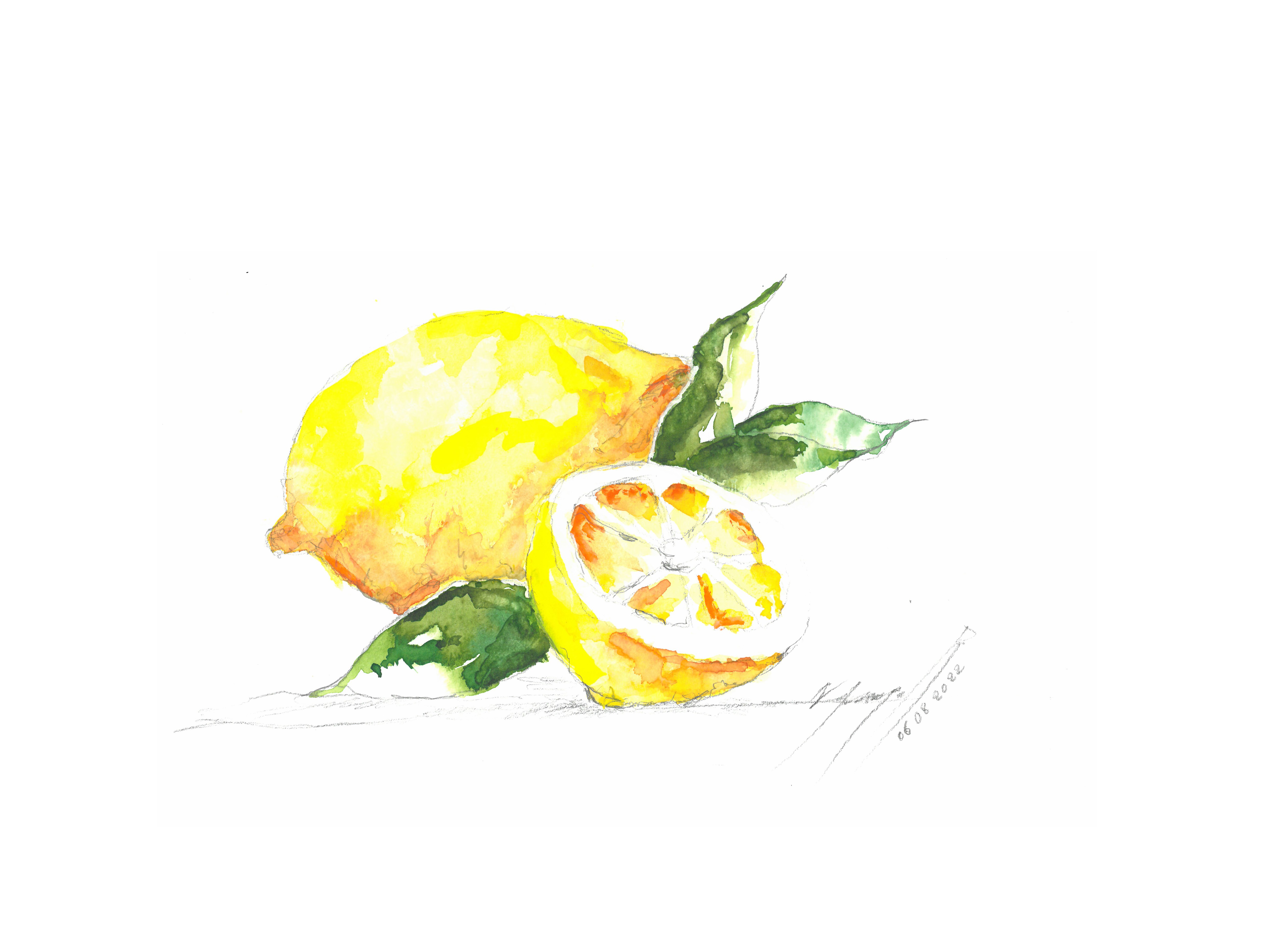 Noël Granger, Des amours de citrons Noël Granger, Des amours de citrons