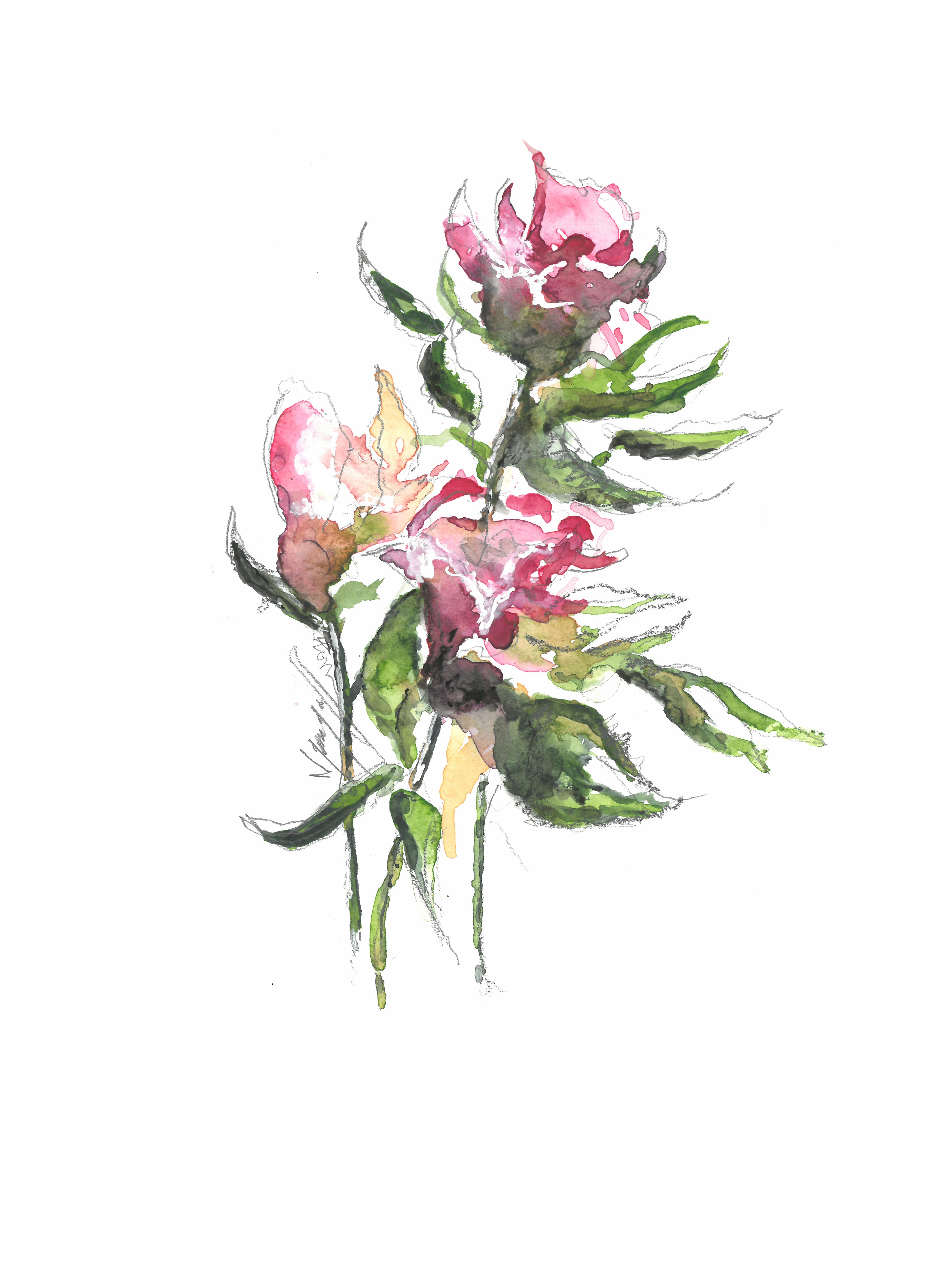 Noël Granger, Mon amour - bouquet de Roses Noël Granger, Mon amour - bouquet de Roses