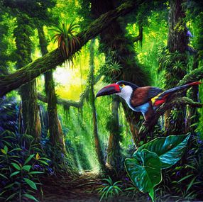 Painting, Toucan colombien, Juan Carlos Suarez