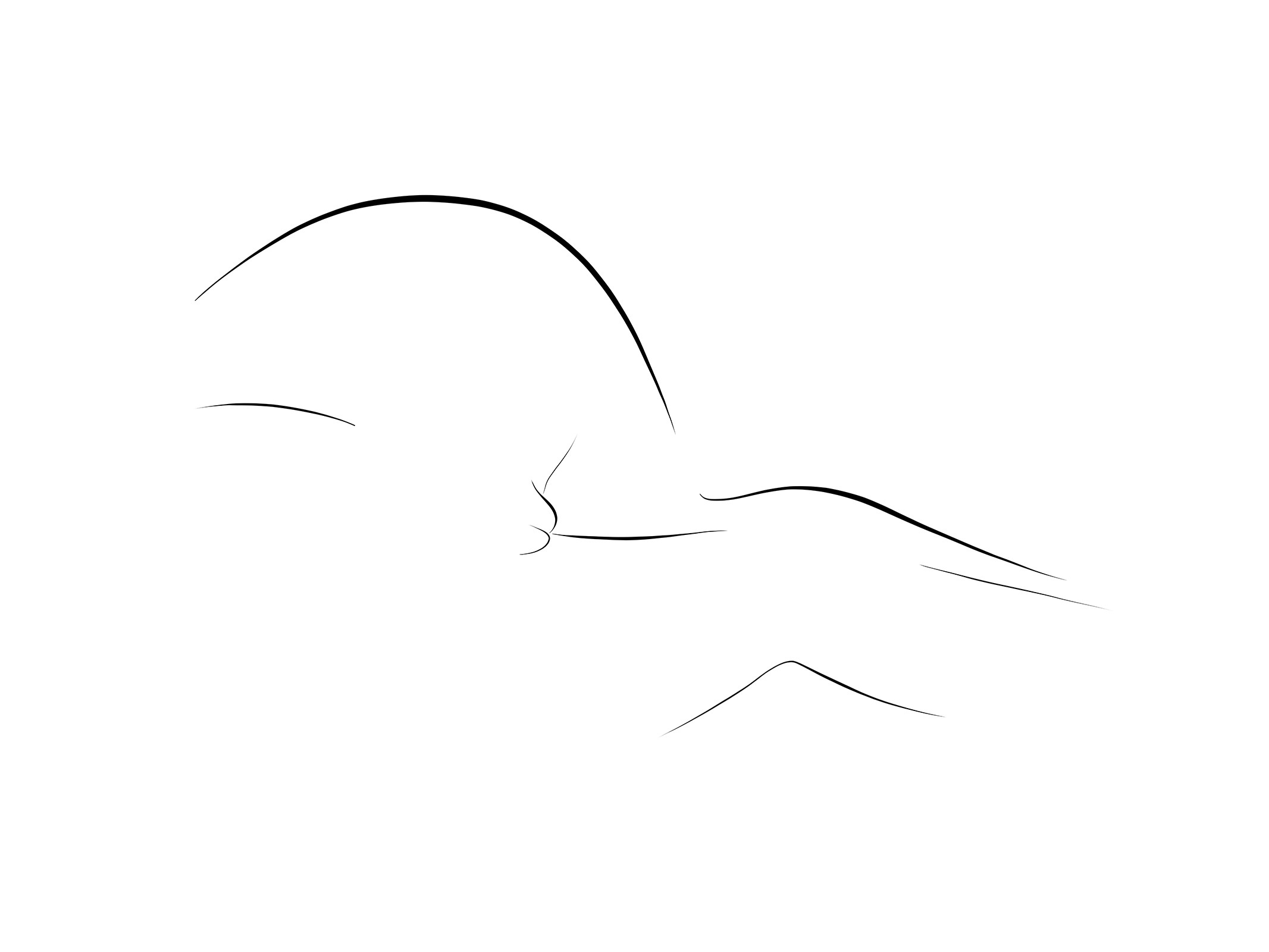 Yves Pero, Le Cygne Yves Pero, Le Cygne