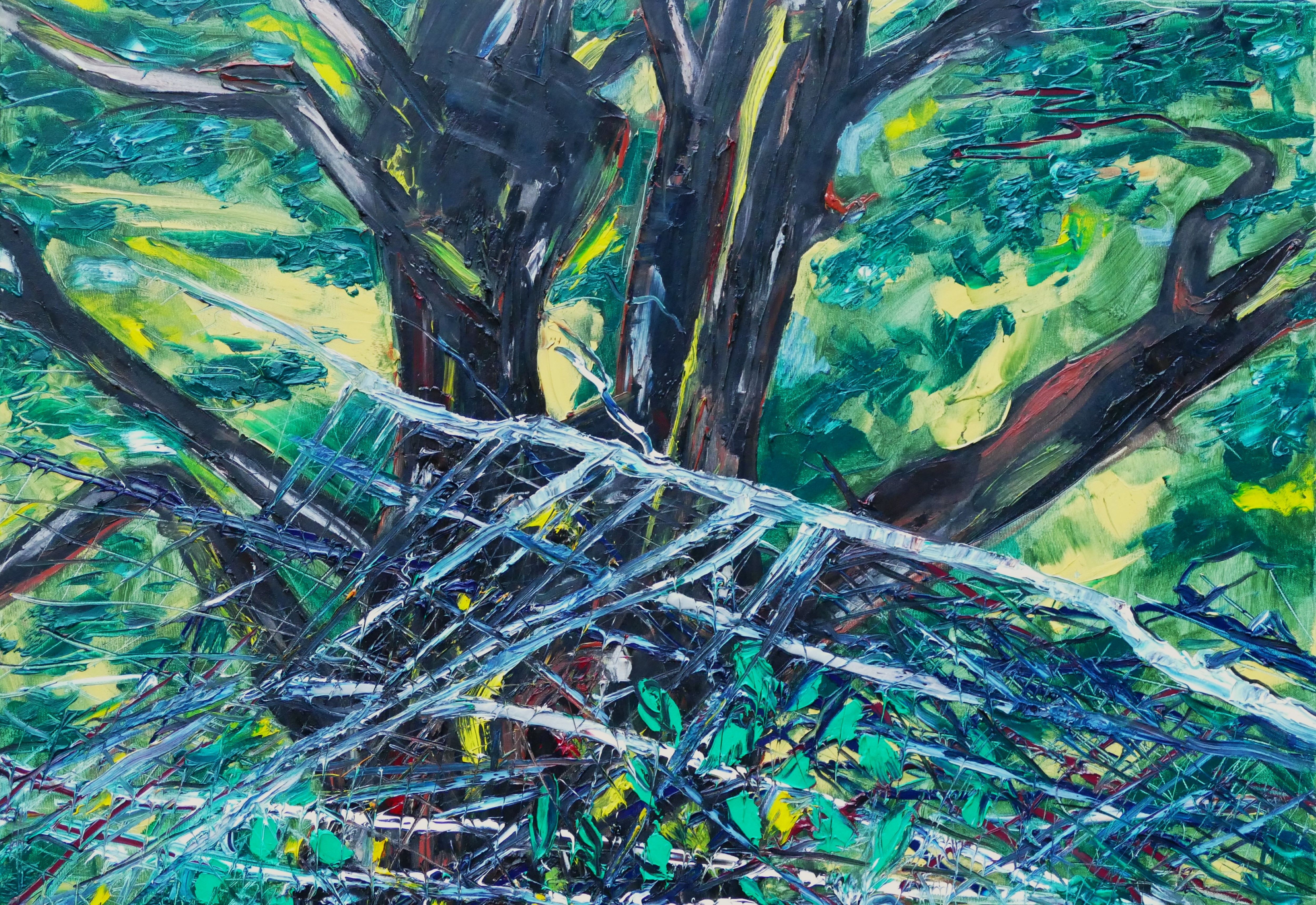 Karl-Karol Chrobok, Oak near Bad Berleburg Karl-Karol Chrobok, Oak near Bad Berleburg