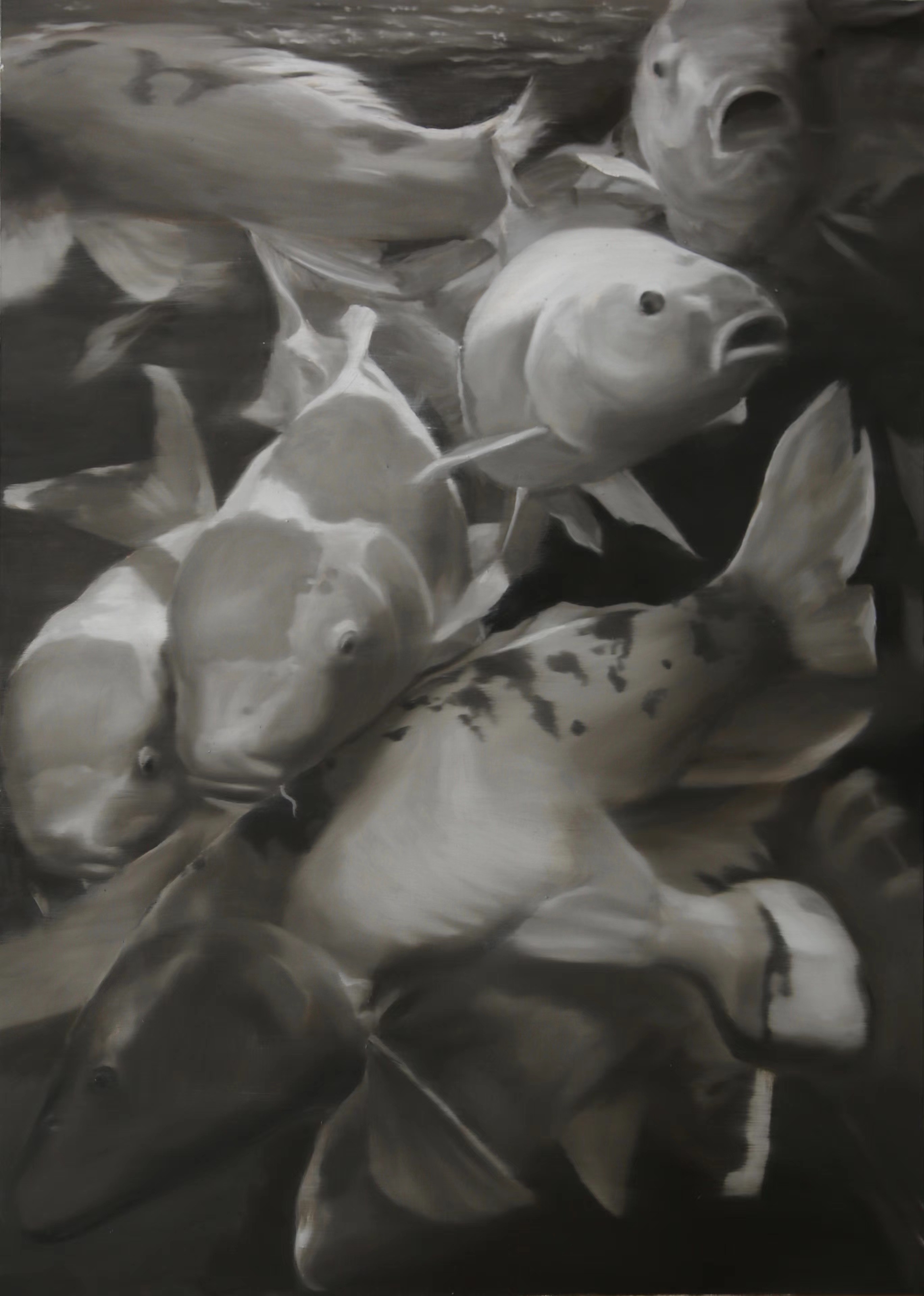 Wang Dianyu, Fishes in Tank Wang Dianyu, Fishes in Tank