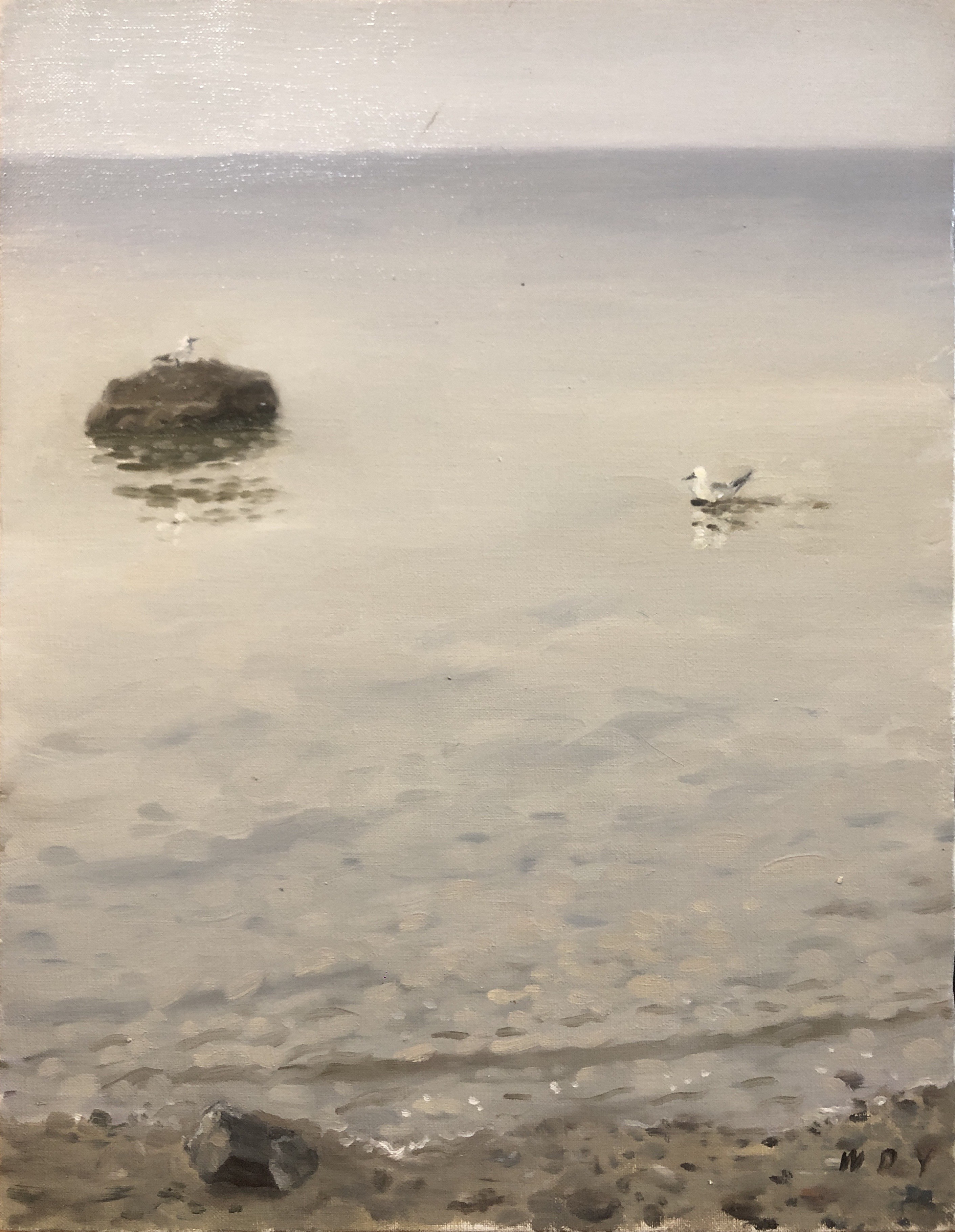 Wang Dianyu, Seagull Wang Dianyu, Seagull