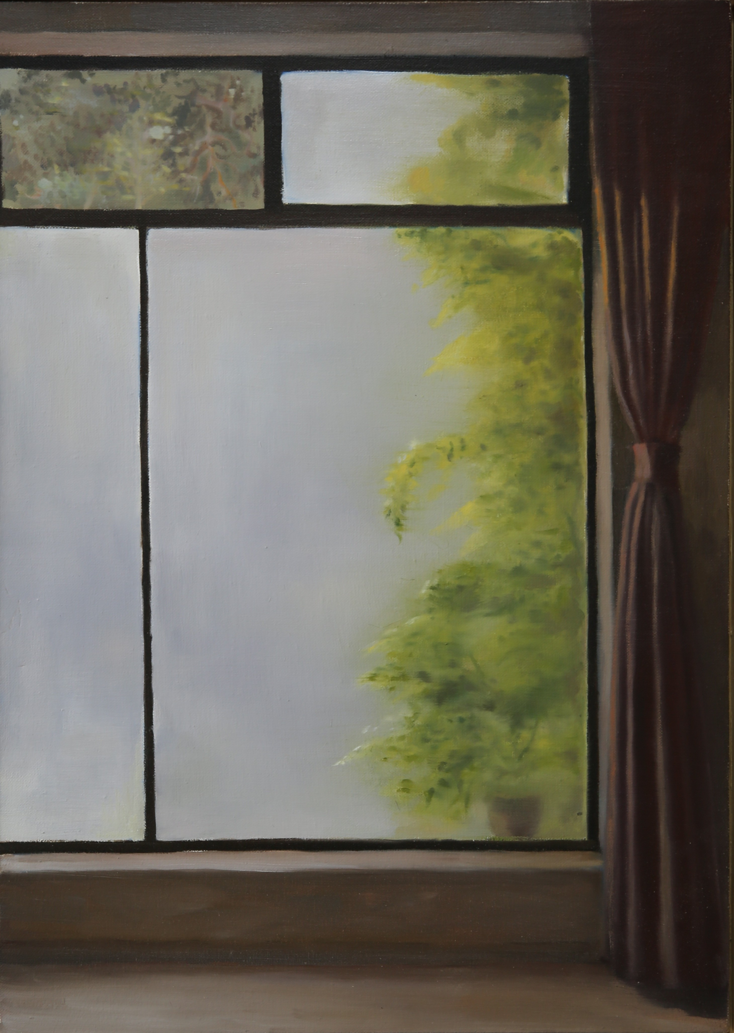 Wang Dianyu, Window Wang Dianyu, Window