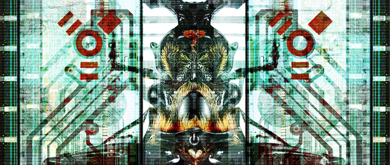 Pierre-Emmanuel Chatiliez, Bug in the system Pierre-Emmanuel Chatiliez, Bug in the system