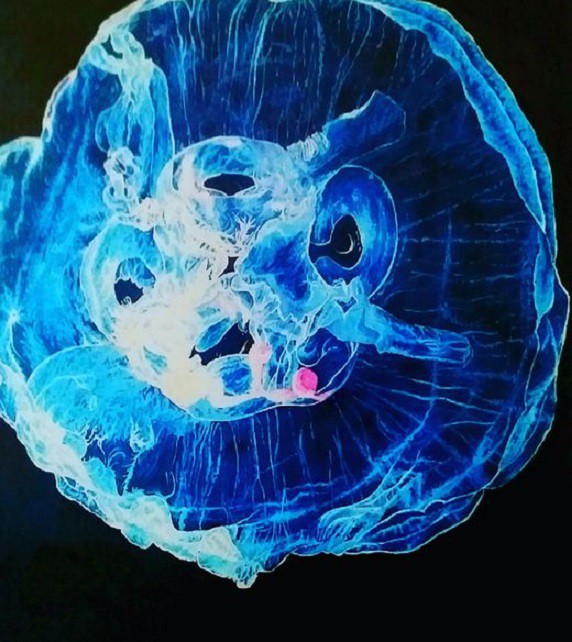 Aqua S, Medusa Aqua S, Medusa