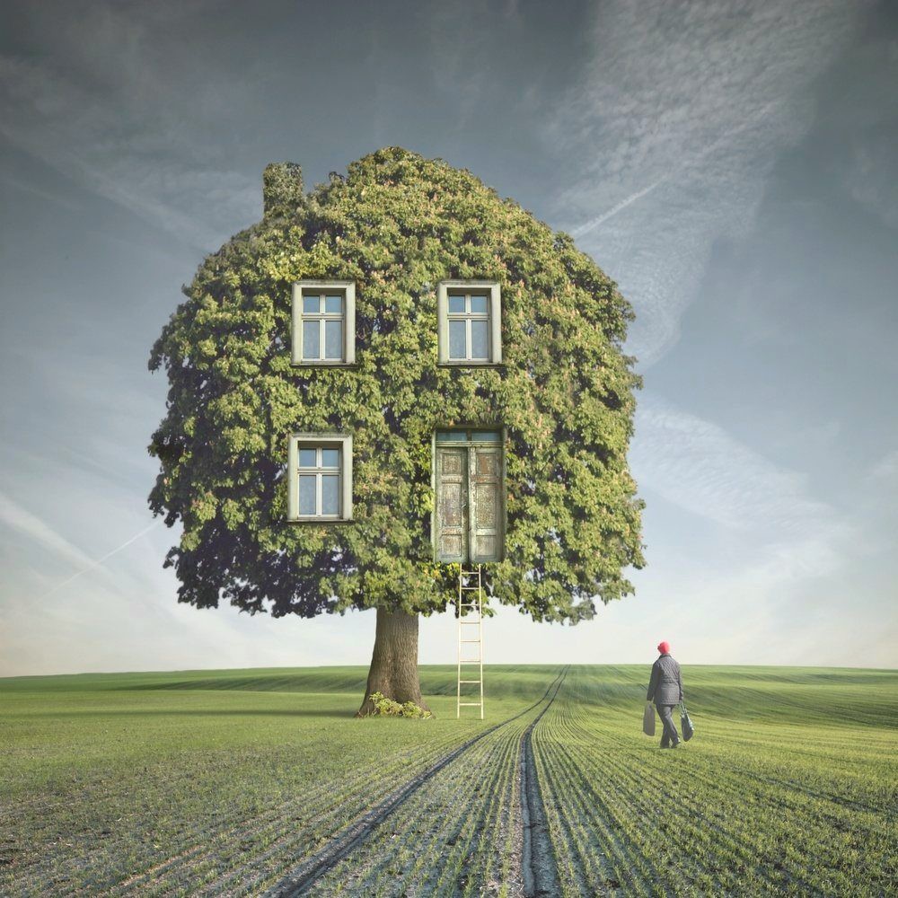 Dariusz Klimczak, Homecoming Dariusz Klimczak, Homecoming