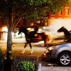Fotografía, Horses, Hervé Pezzini