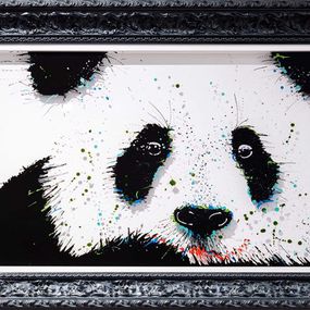 Quiety Pandy, Paco Roum