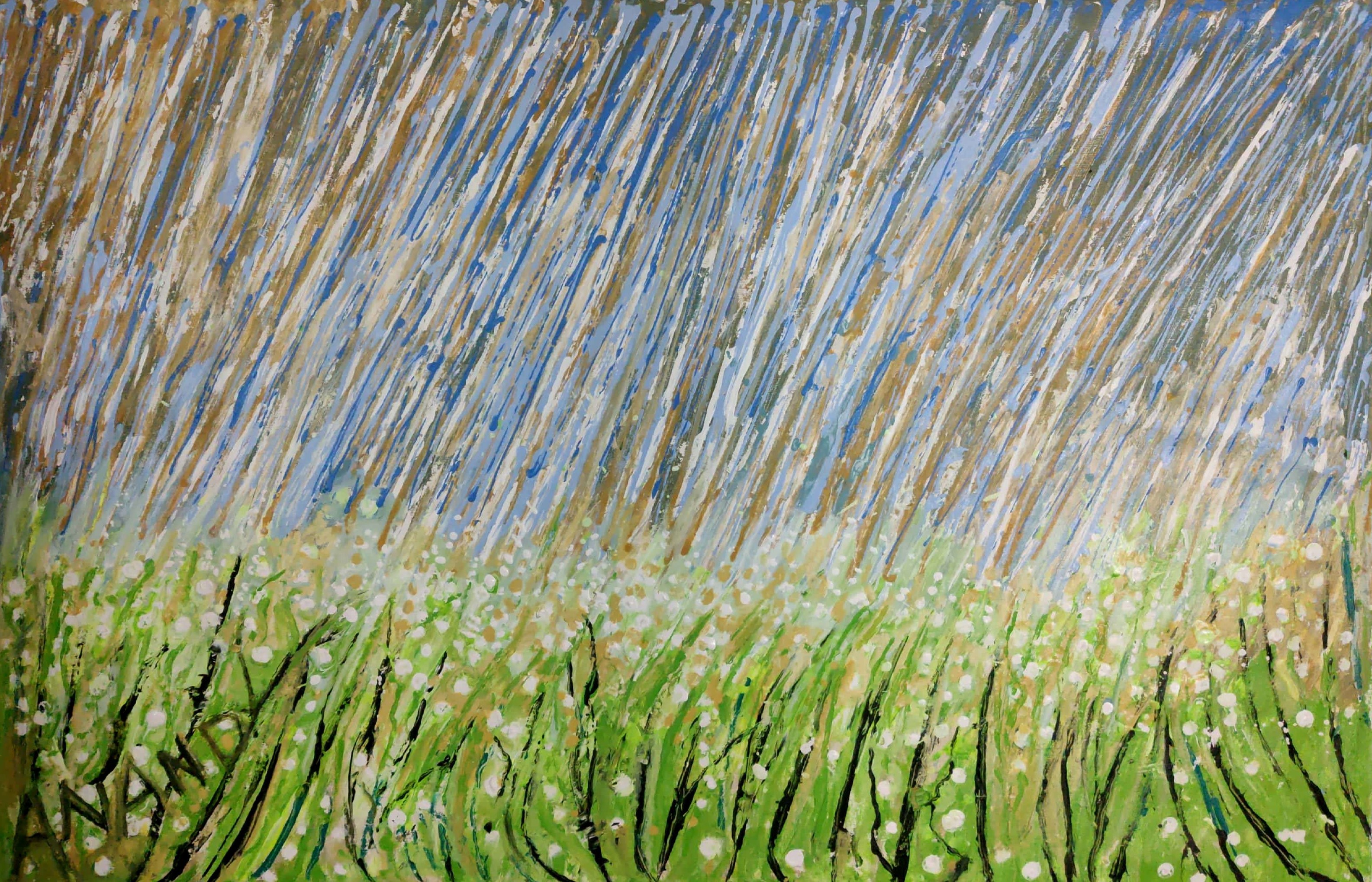 Anand Manchiraju, Rainscape Anand Manchiraju, Rainscape