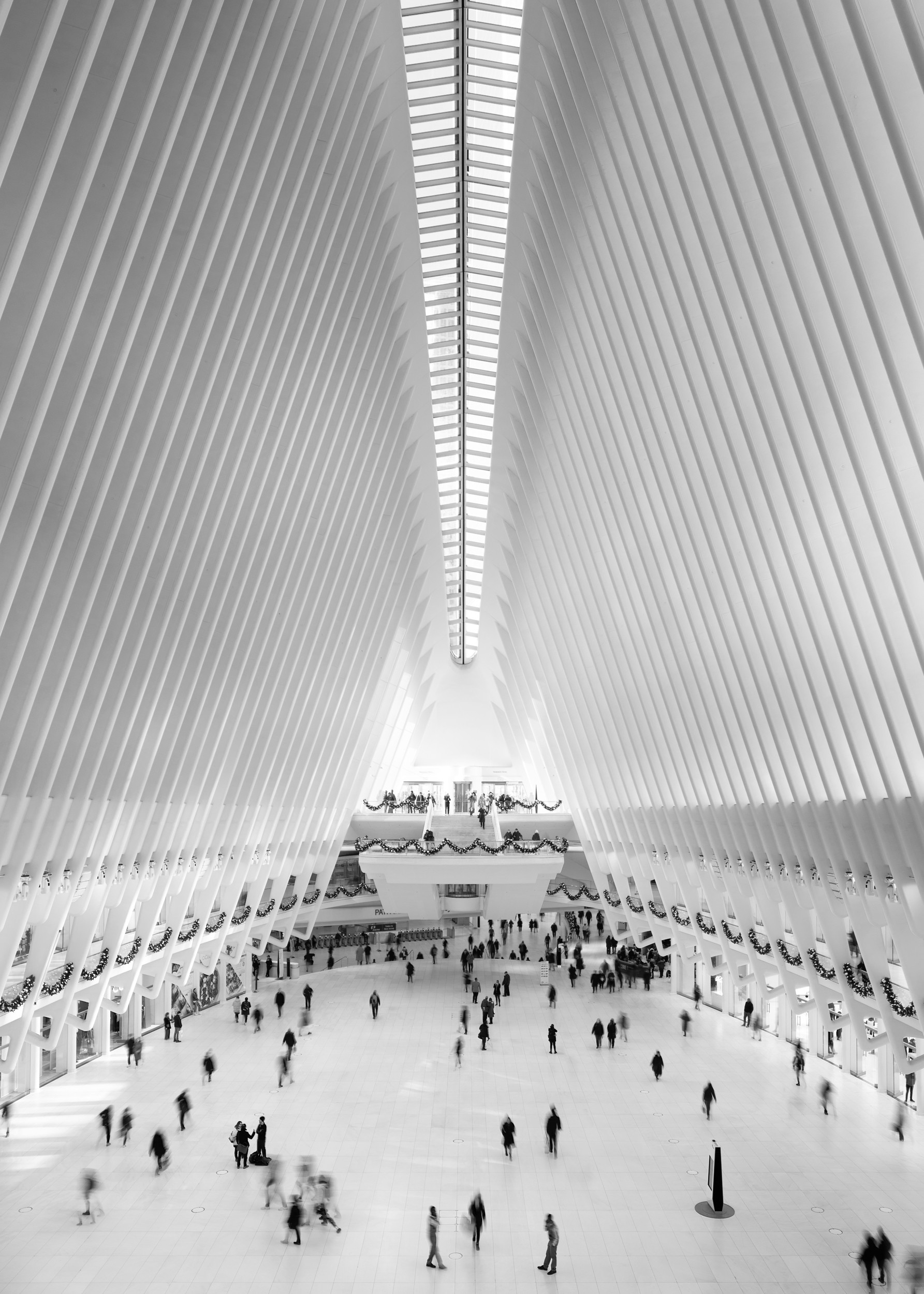 Mark Elst, NYC - Oculus Mark Elst, NYC - Oculus