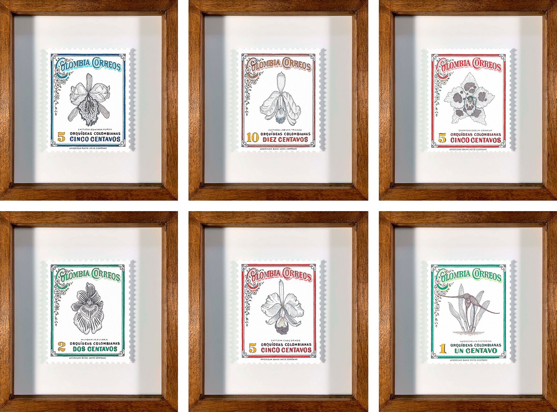 Rodrigo Spinel, Set of 6 Orquídeas Rodrigo Spinel, Set of 6 Orquídeas