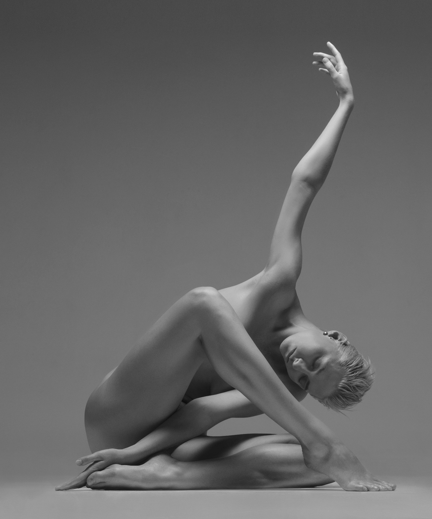 Vadim Stein, Languid Vadim Stein, Languid