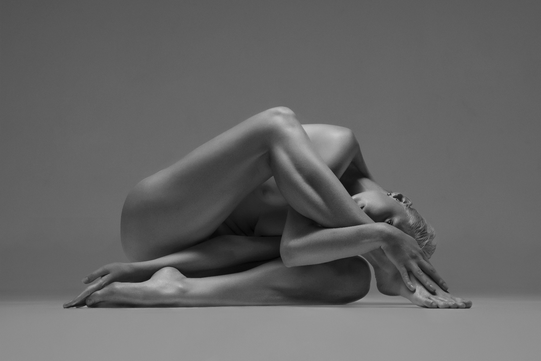 Vadim Stein, Serpentine Vadim Stein, Serpentine