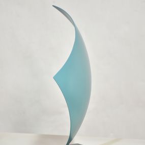 Turquoise spi, Yannick Bouillault