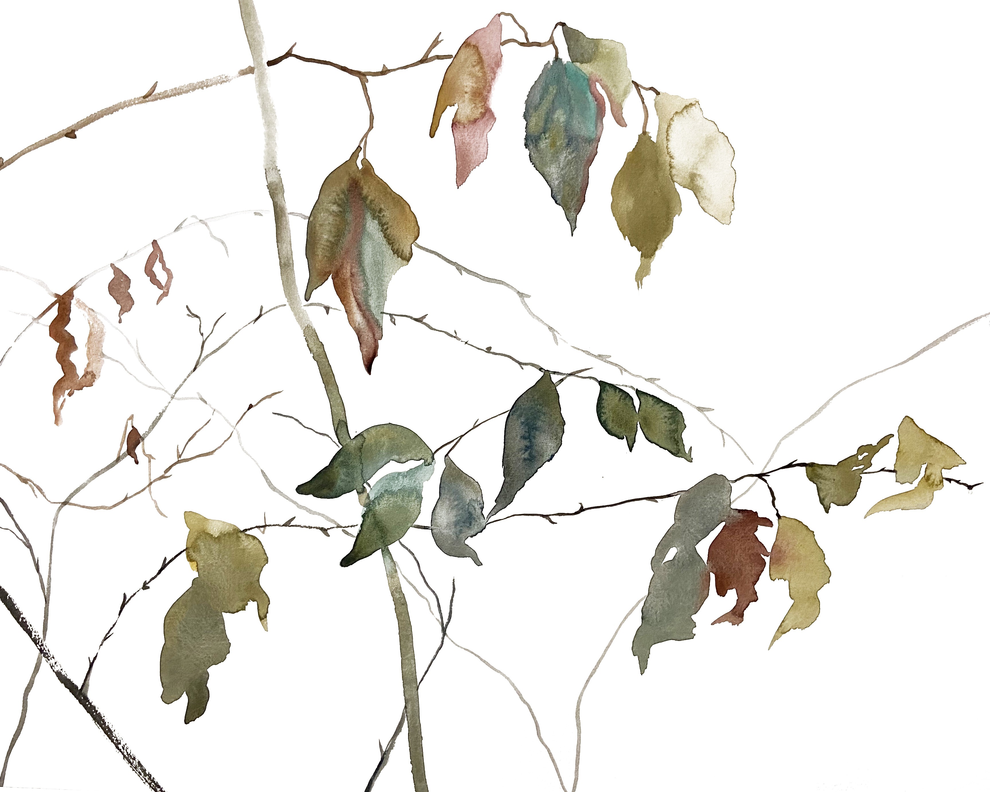 Elizabeth Becker, November Branches No. 17 Elizabeth Becker, November Branches No. 17