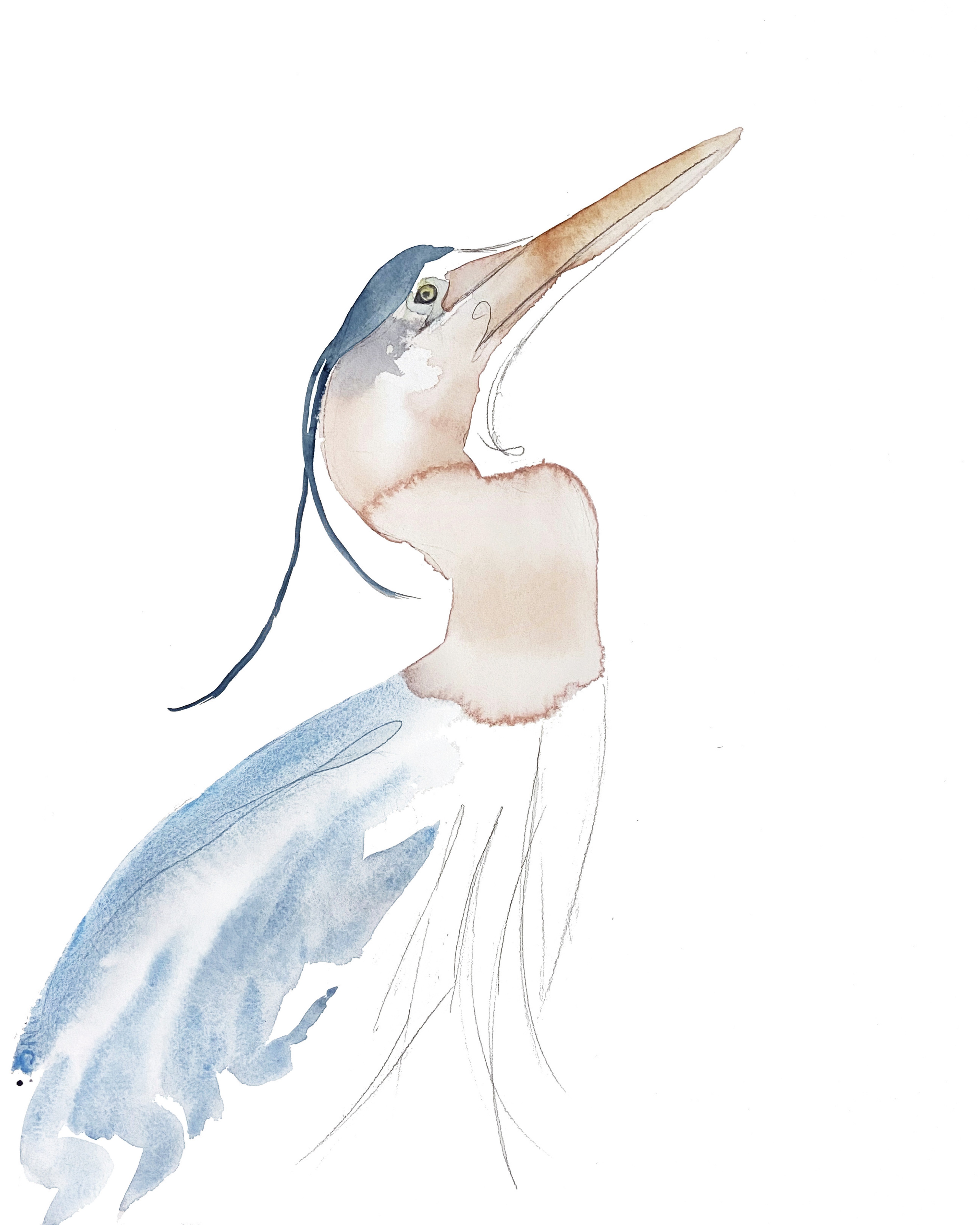 Elizabeth Becker, Heron No. 15 Elizabeth Becker, Heron No. 15