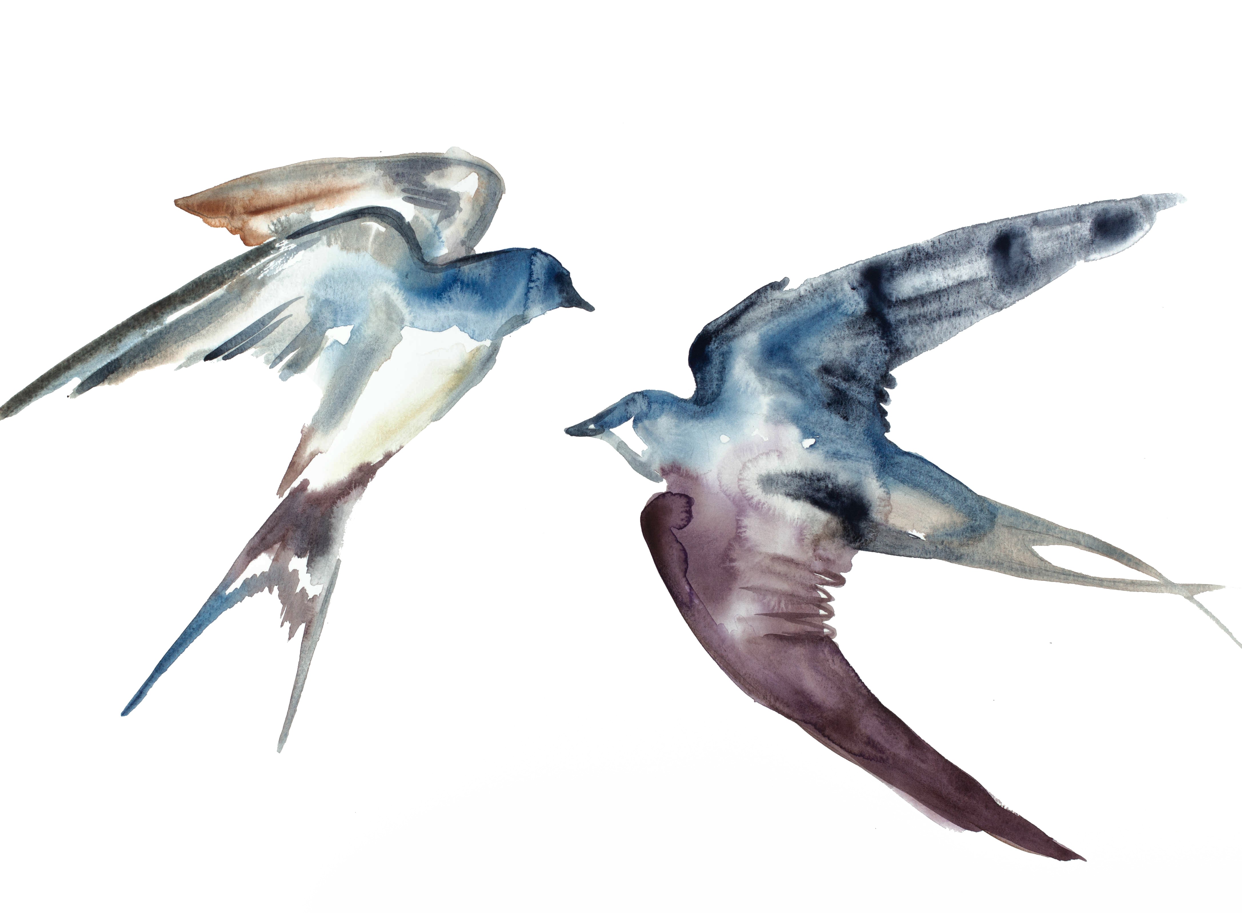 Elizabeth Becker, Swallows in Flight No. 21 Elizabeth Becker, Swallows in Flight No. 21