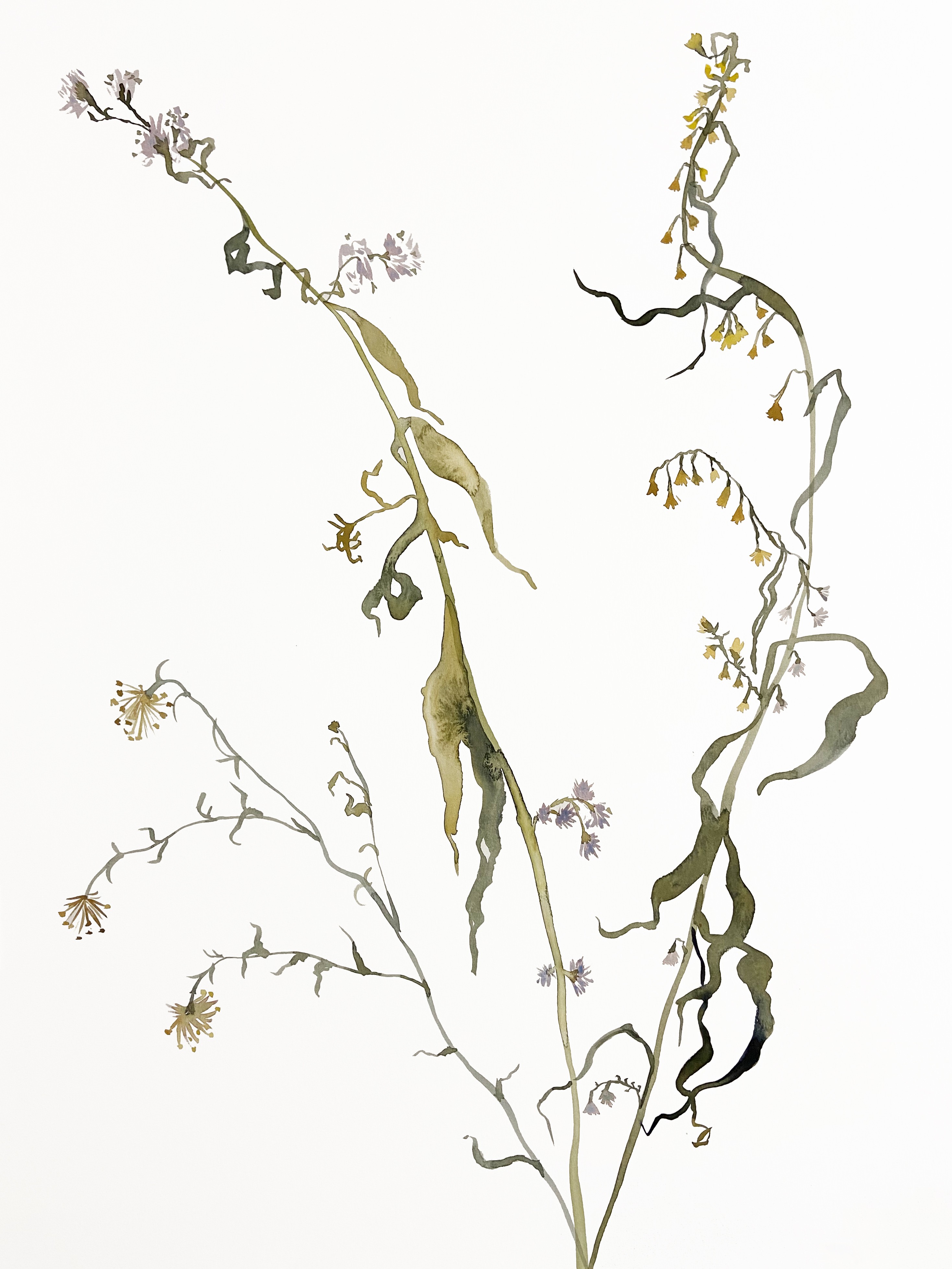 Elizabeth Becker, Meadow Study No. 6 Elizabeth Becker, Meadow Study No. 6