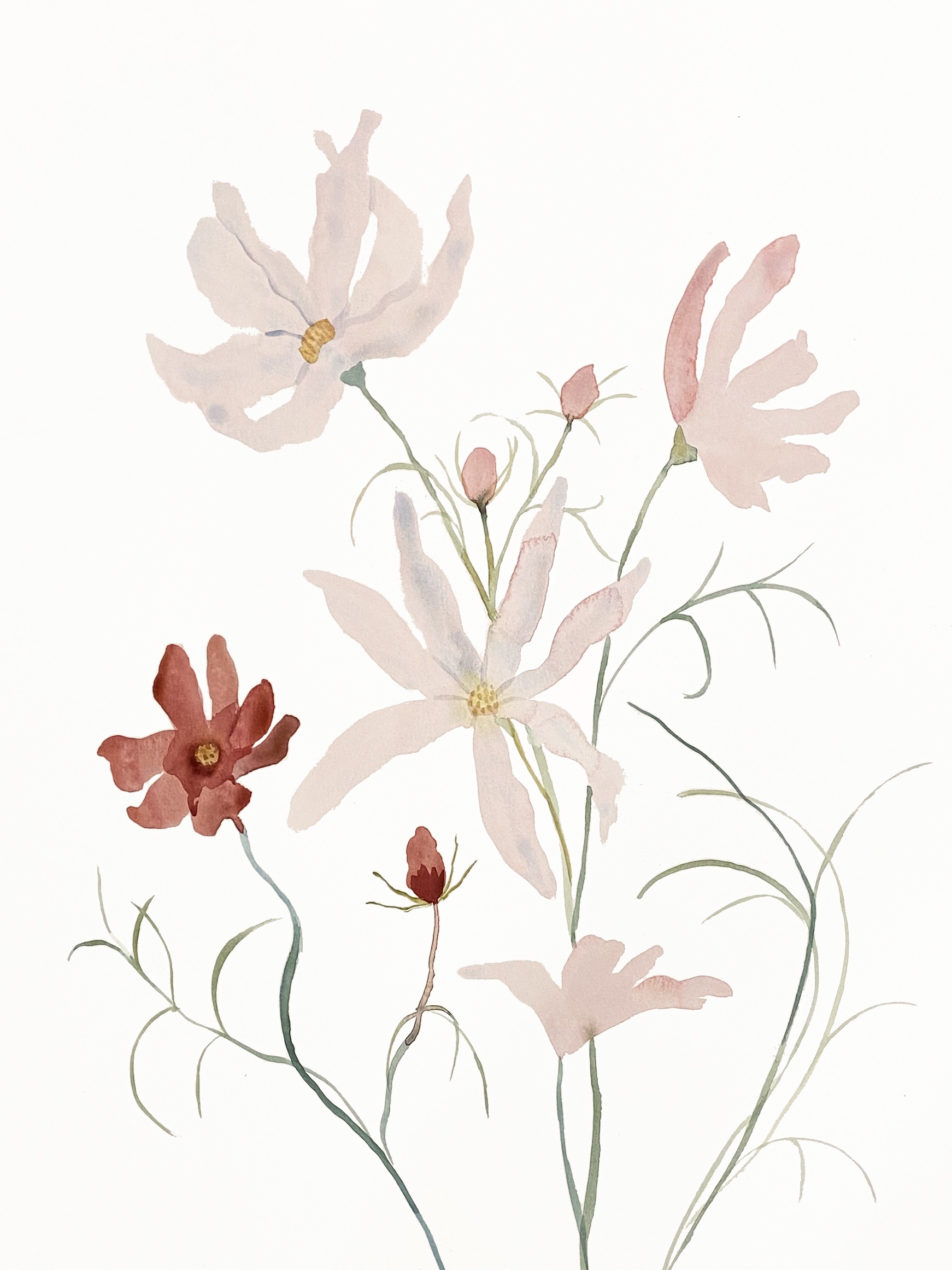Elizabeth Becker, Cosmo No. 4 Elizabeth Becker, Cosmo No. 4