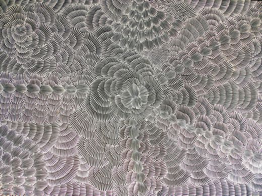 Joy Kngwarreye Jones