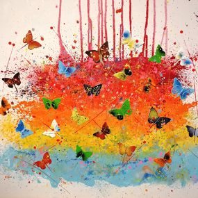 Butterfly N°1254, Patrick Salamone