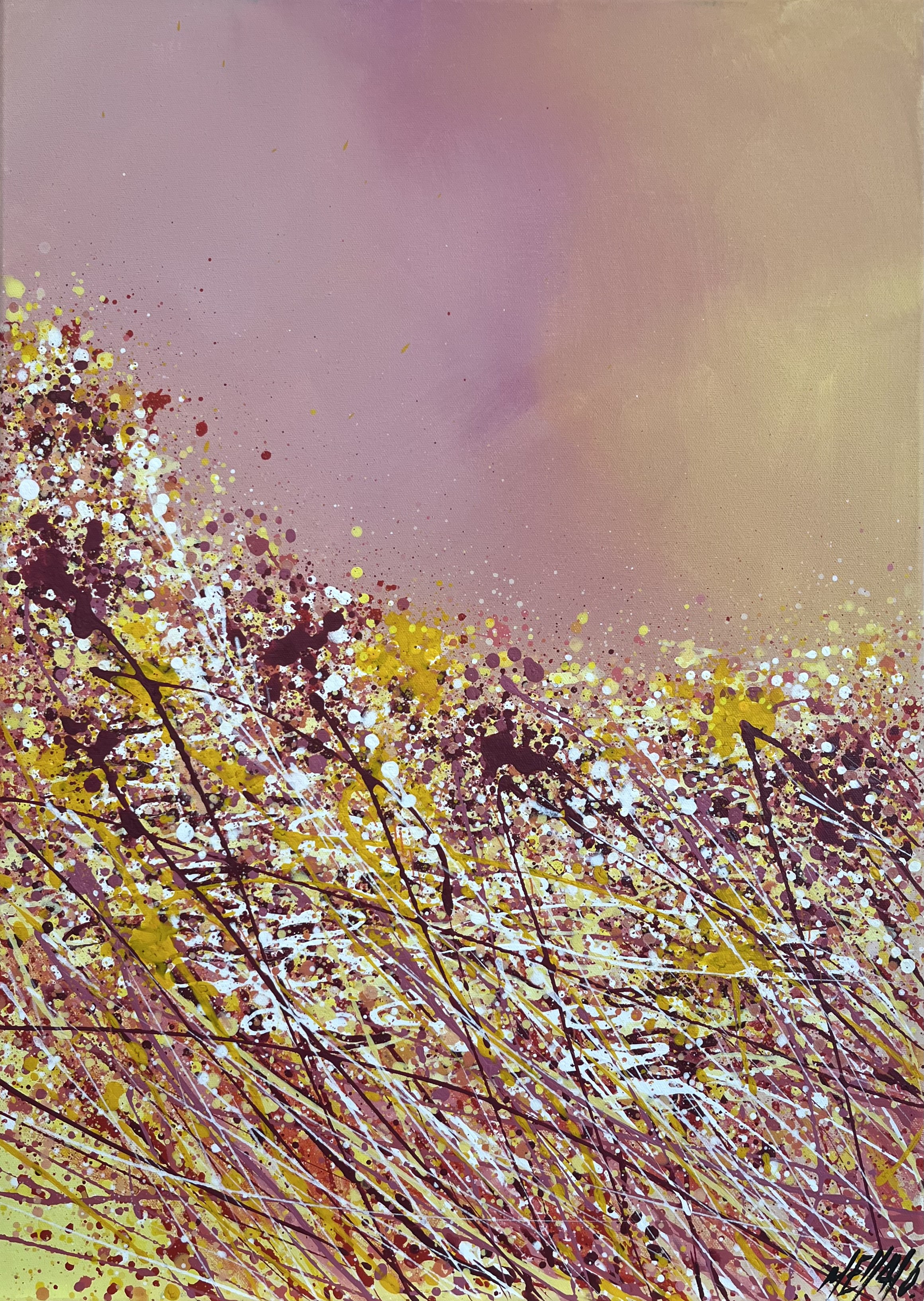 Olivier Messas, Couleurs des champs… Olivier Messas, Couleurs des champs…