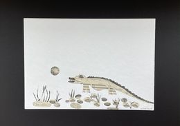 Photographie, Crocodile tears, Hélène Litorelle