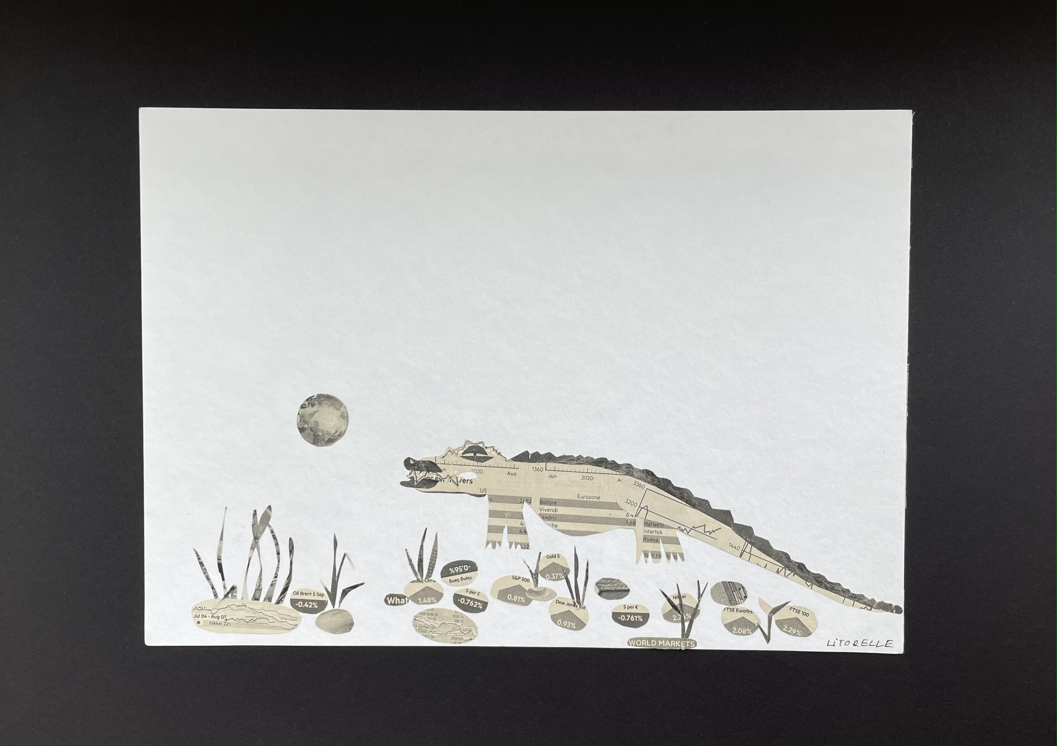 Hélène Litorelle, Crocodile tears Hélène Litorelle, Crocodile tears