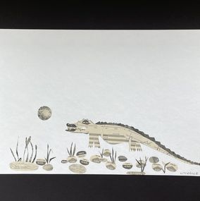 Photography, Crocodile tears, Hélène Litorelle