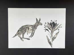 Photographie, Kangaroo, Hélène Litorelle