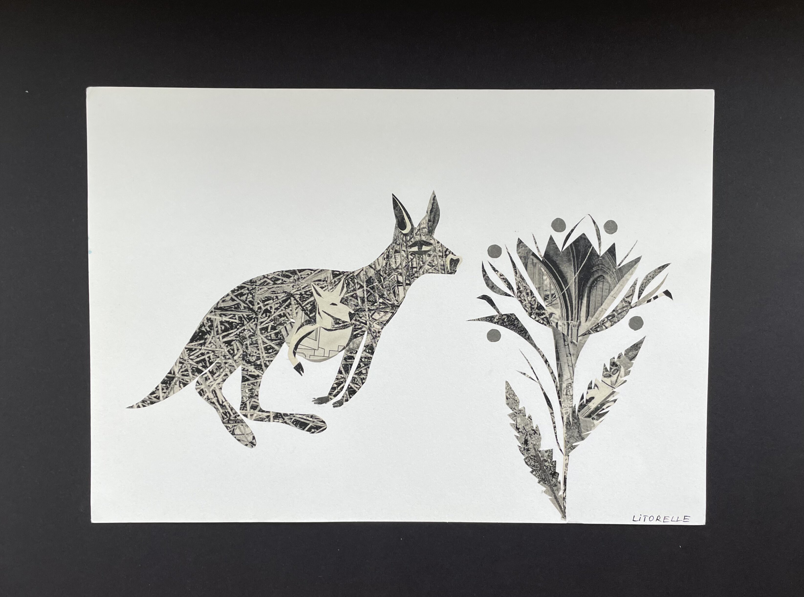 Hélène Litorelle, Kangaroo Hélène Litorelle, Kangaroo