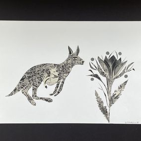 Photography, Kangaroo, Hélène Litorelle