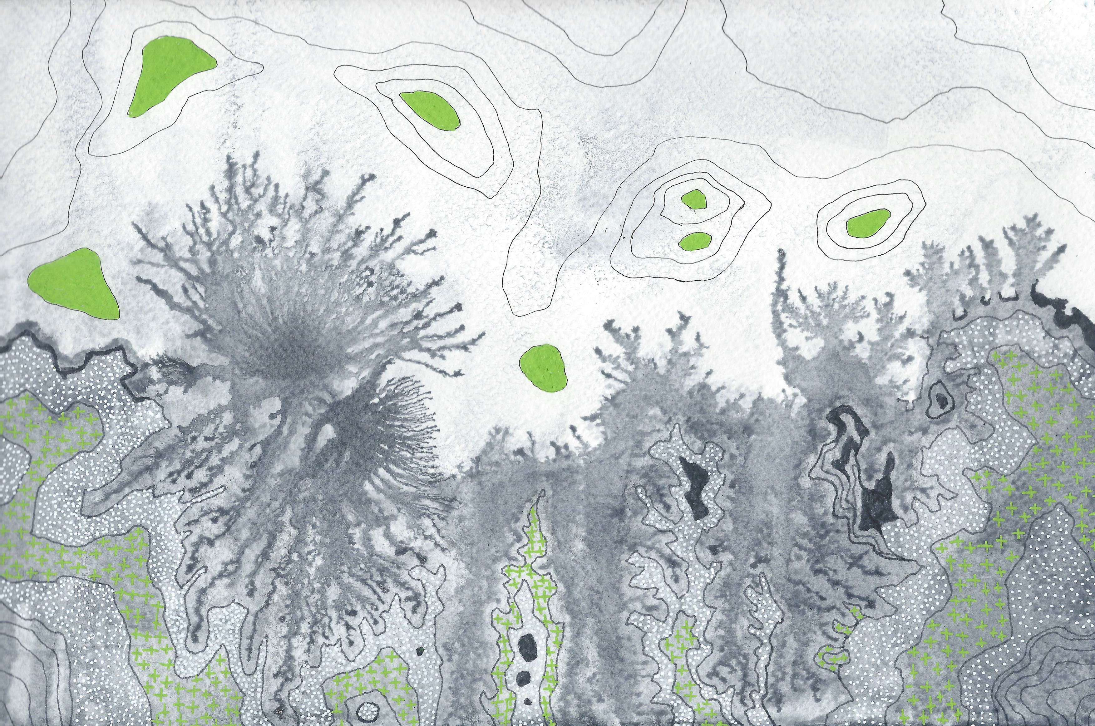Aurélie Trabaud, L I N E S - Grey Coast Aurélie Trabaud, L I N E S - Grey Coast