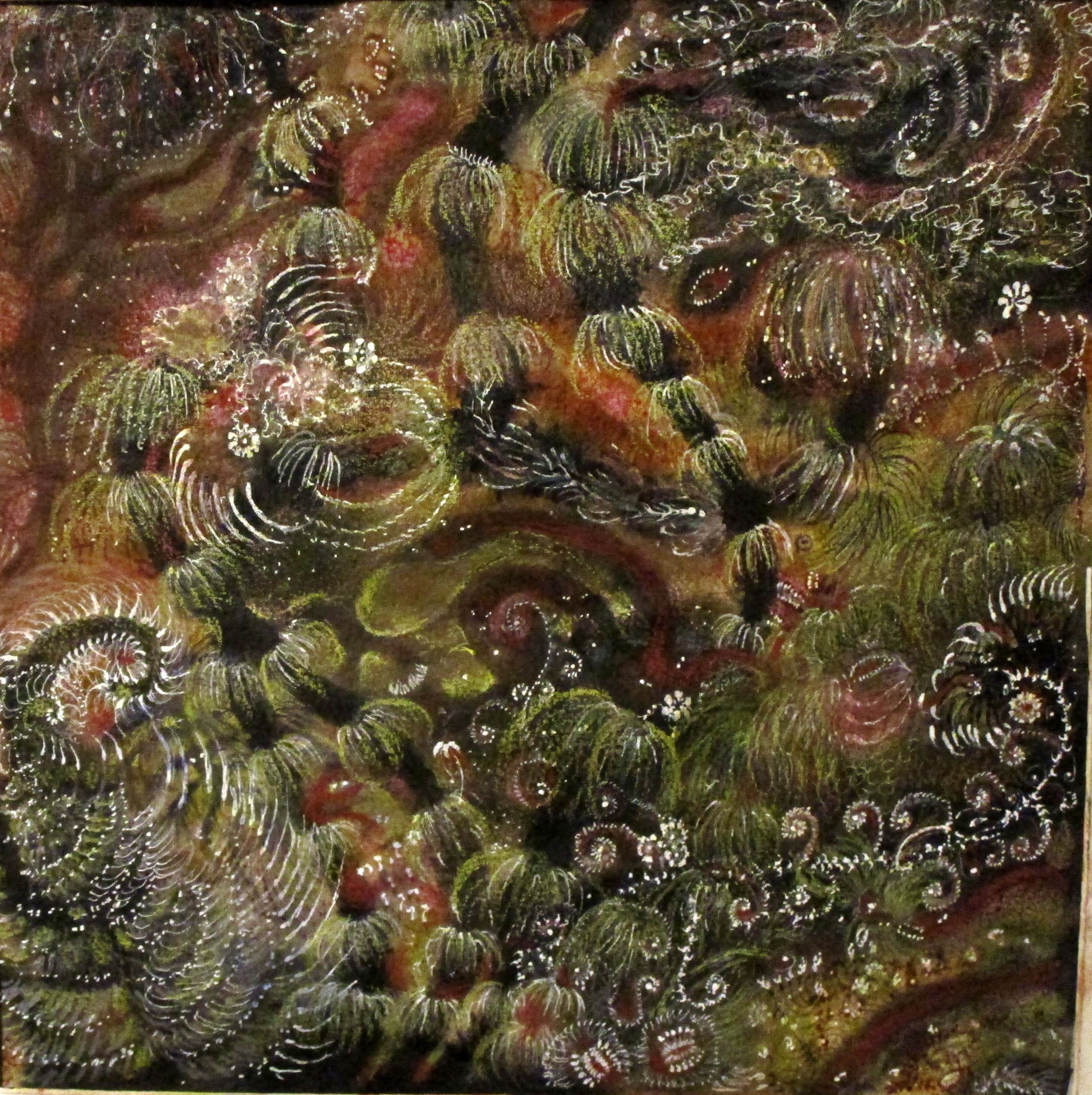 Izabella Ortiz, Forest spells Izabella Ortiz, Forest spells