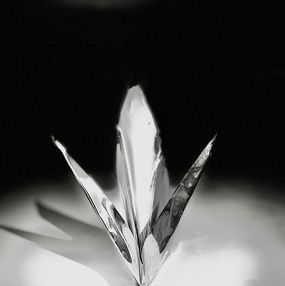 Bernard BASCHET, Saint Esprit argent 1990 Holy Spirit silver Bernard BASCHET, Saint Esprit argent 1990 Holy Spirit silver