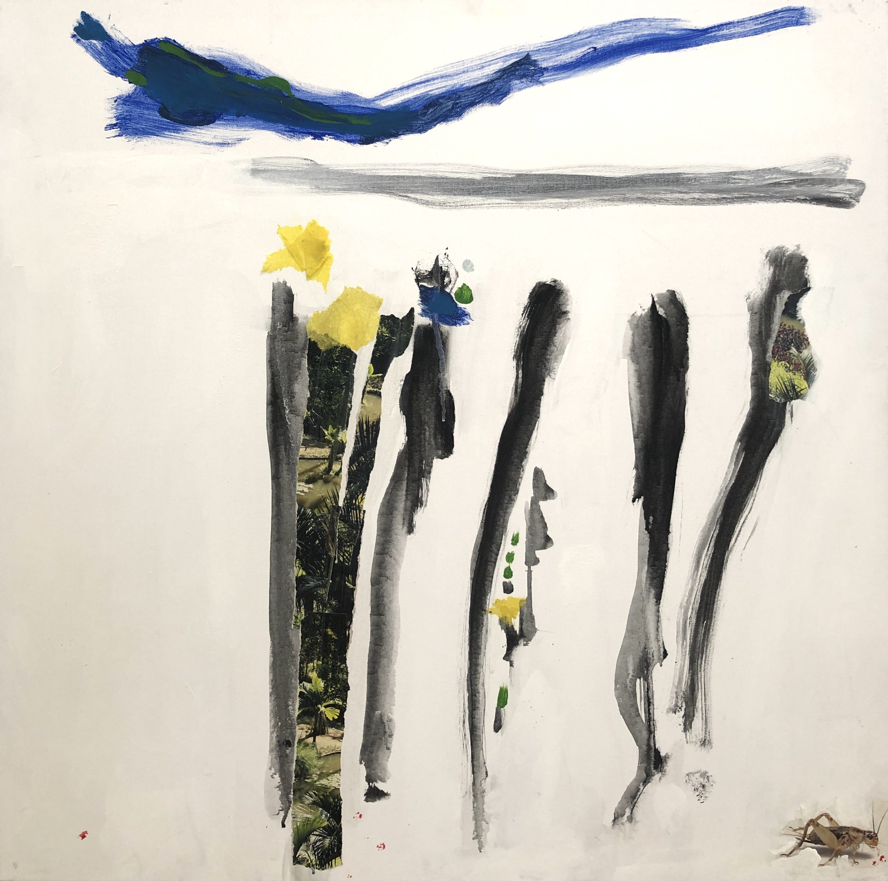 Claude Voutat, Anti-Cyclone Claude Voutat, Anti-Cyclone