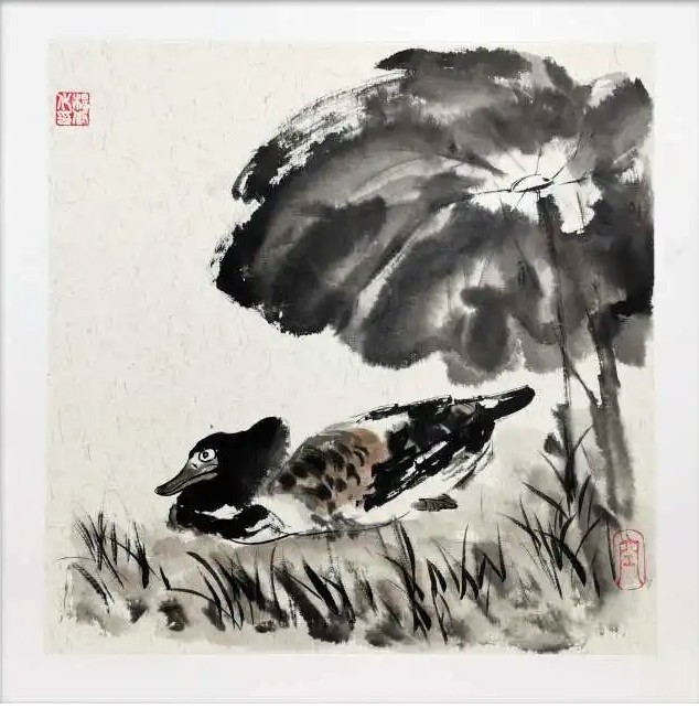Xiu, Canard Xiu, Canard