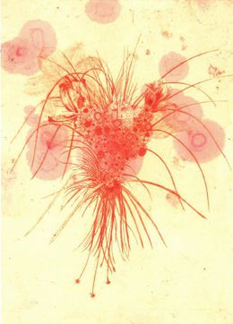 Print, Série "fleuri", Didier Hamey